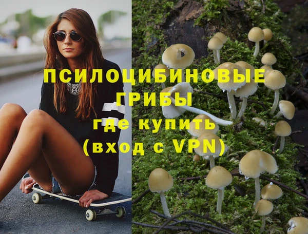 молекула духа Сосновый Бор