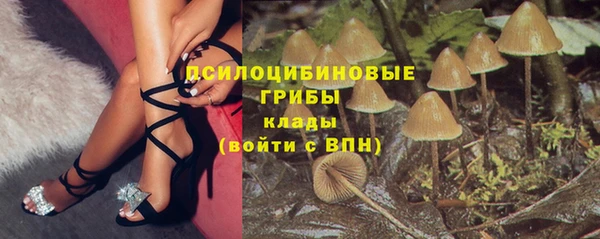 2c-b Сосновка