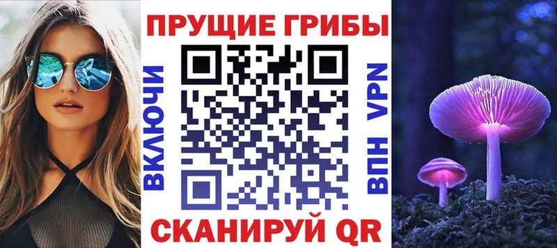 магазин продажи мега маркетплейс Псилоцибиновые грибы Magic Shrooms Венёв
